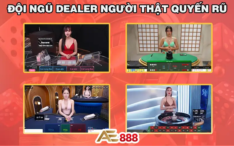 Đội ngũ Dealer